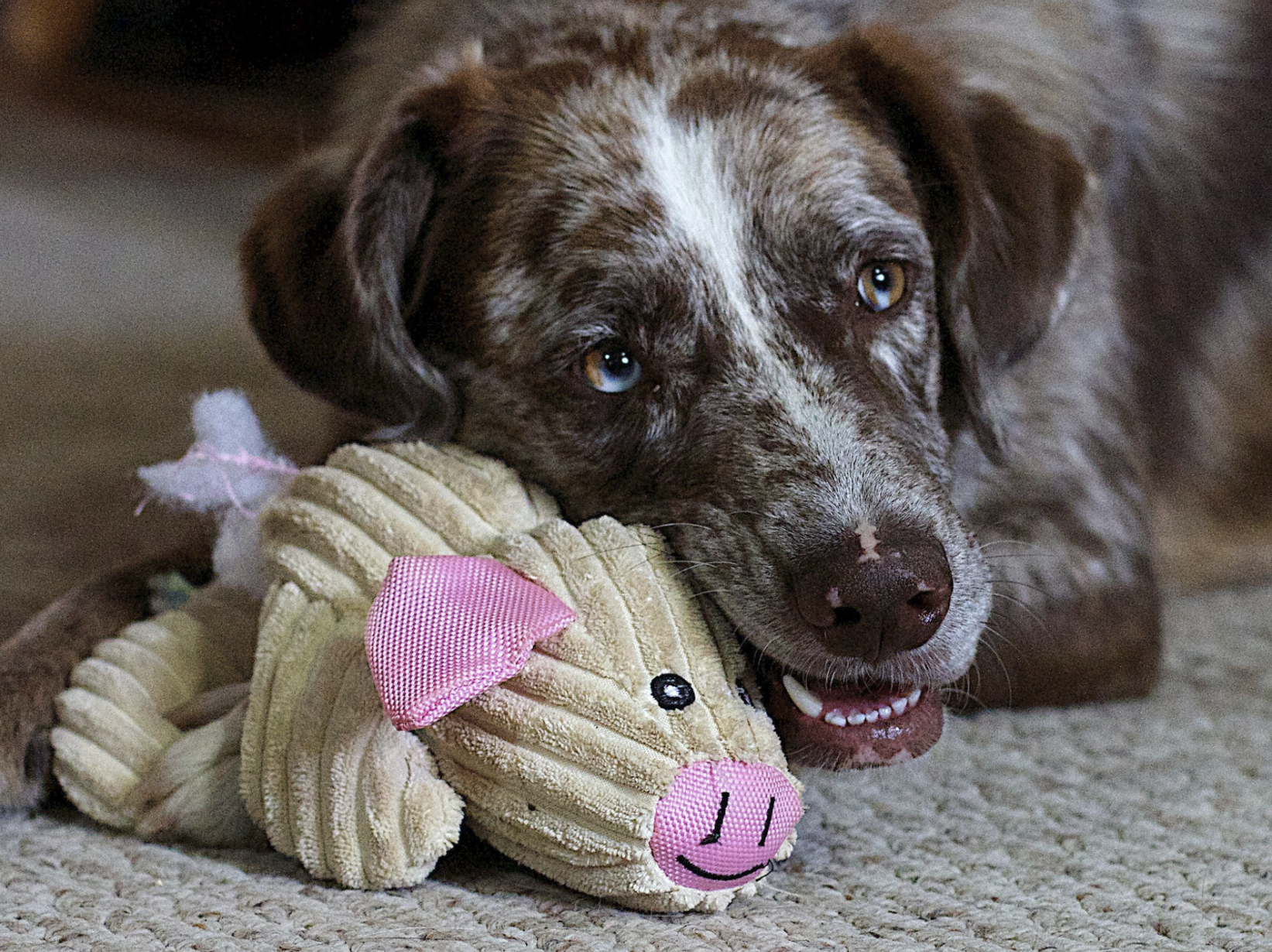 Therapy Tools