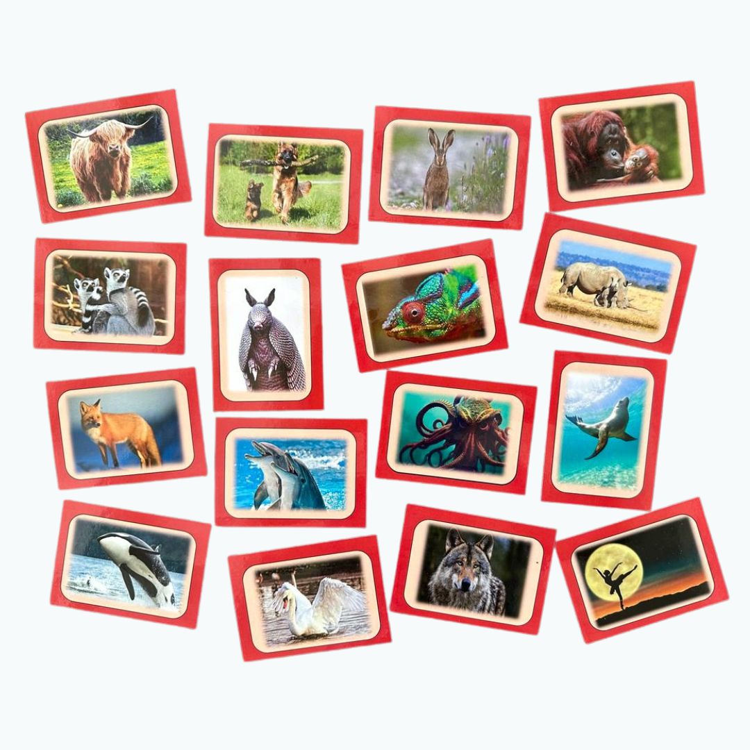 Power Pack Metaphor Cards